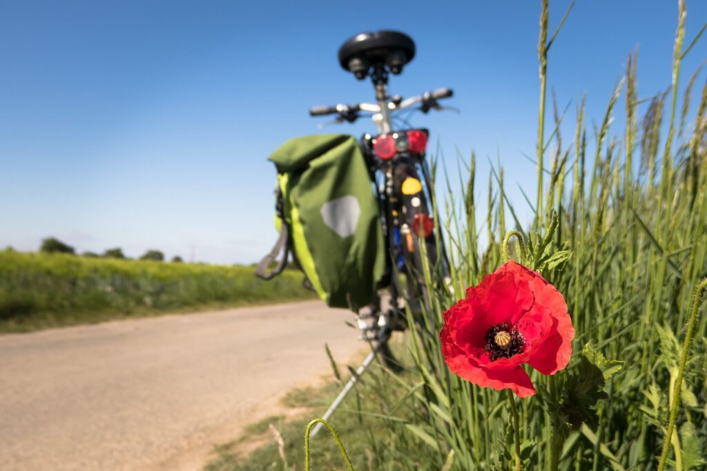 Das Waldviertel mit seiner unberührten Natur lädt zur aktiven Mobilität ein