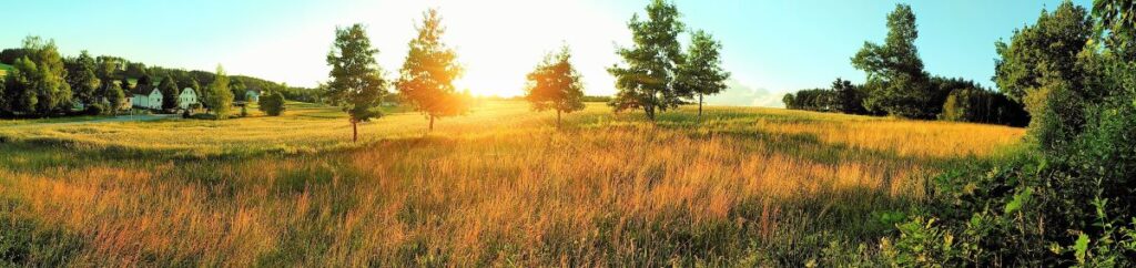 Waldviertler Landschaft in der Gemiende Waldenstein im Sonnenuntergang