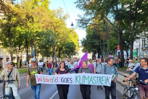 Die Waldviertler:innen beim weltweiten Klimastreik