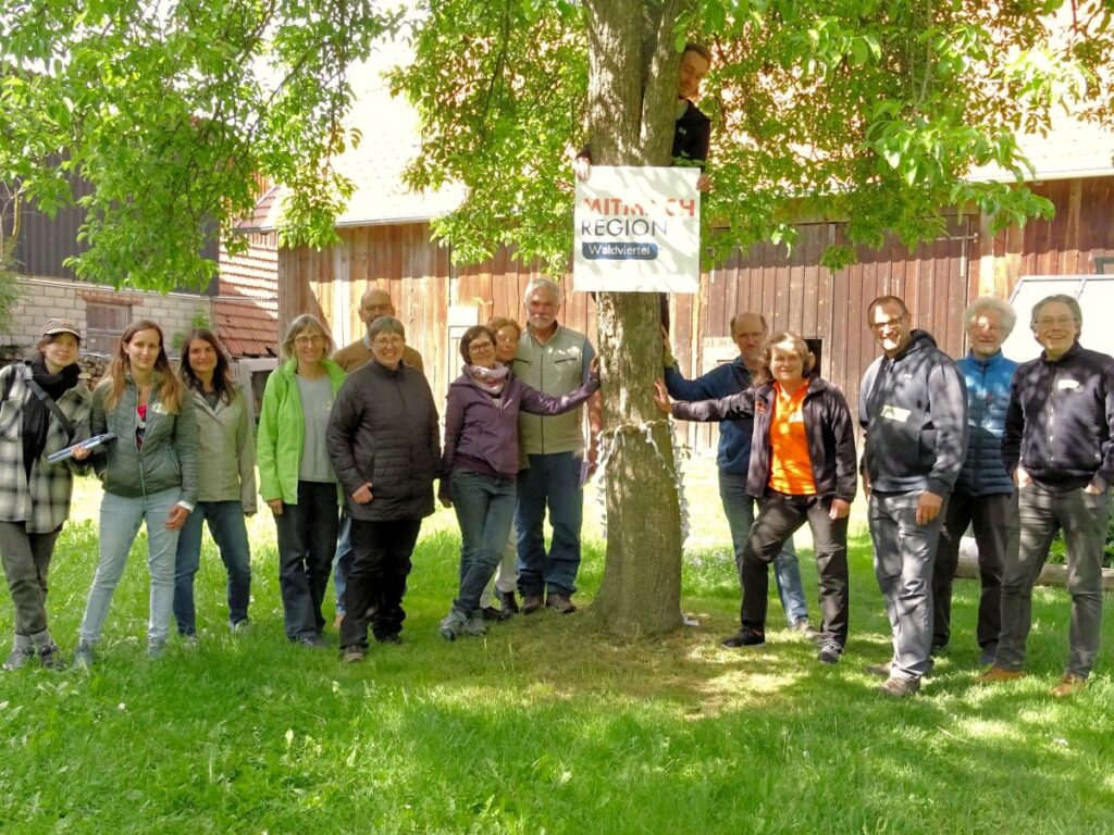 greensteps Workshop 24.5.2025